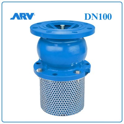 Rọ Bơm ARV DN100