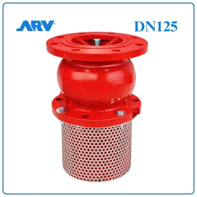 Rọ Bơm ARV DN125
