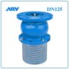 Rọ Bơm ARV DN125