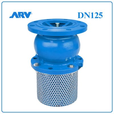 Rọ Bơm ARV DN125