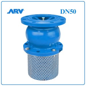 Rọ Bơm ARV DN50