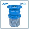 Rọ Bơm ARV DN65