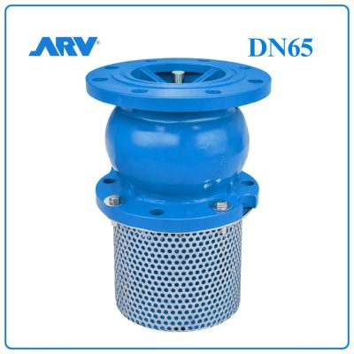 Rọ Bơm ARV DN65