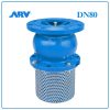 Rọ Bơm ARV DN80