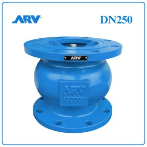 Van 1 Chiều Lò Xo ARV DN250