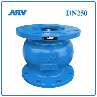 Van 1 Chiều Lò Xo ARV DN250