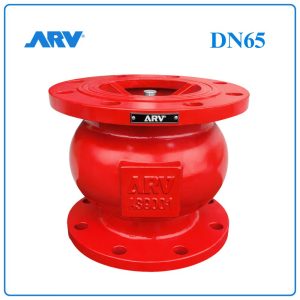 Van 1 Chiều Lò Xo ARV DN65