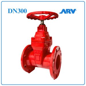 Van Cổng Ty Chìm ARV DN300
