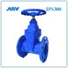 Van Cổng Ty Chìm ARV DN300