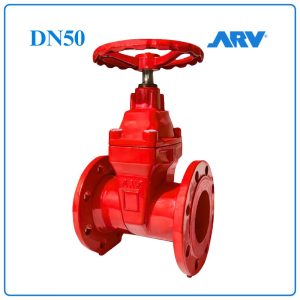 Van Cổng Ty Chìm ARV DN50