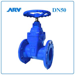 Van Cổng Ty Chìm ARV DN50