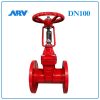Van Cổng Ty Nổi ARV DN100