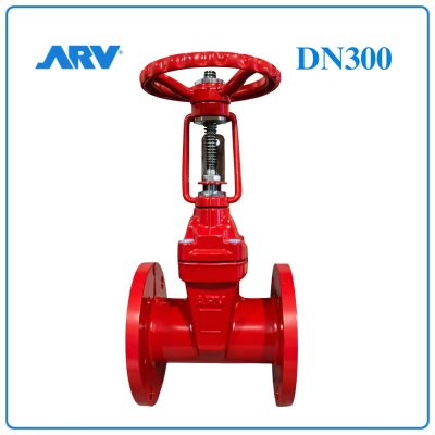 Van Cổng Ty Nổi ARV DN300