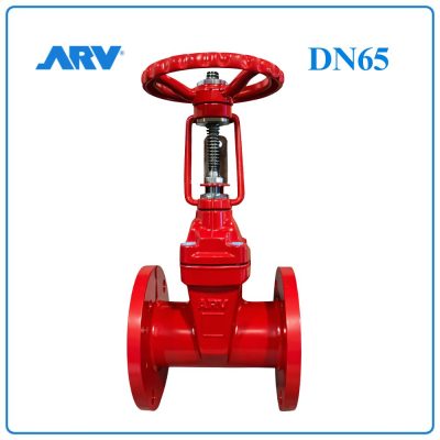 Van Cổng Ty Nổi ARV DN65