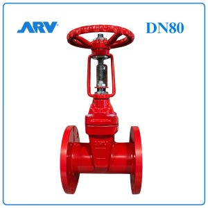 Van Cổng Ty Nổi ARV DN80